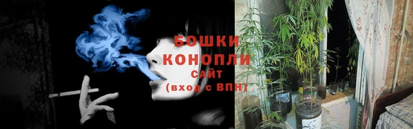 ПСИЛОЦИБИНОВЫЕ ГРИБЫ Печоры