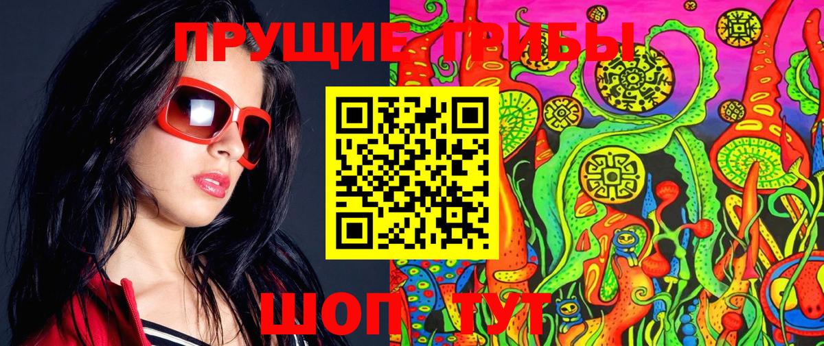 Псилоцибиновые грибы Psilocybe Нижнекамск
