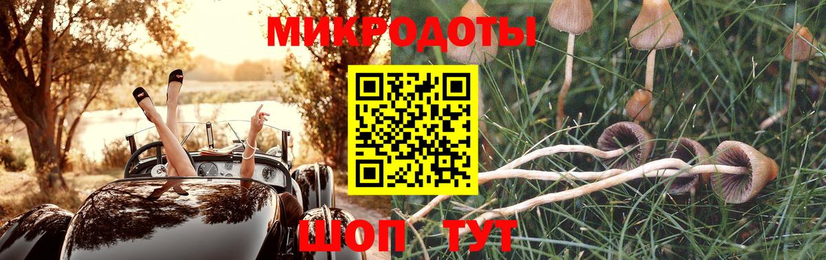 Псилоцибиновые грибы мухоморы  цена наркотик  Псилоцибиновые грибы MAGIC MUSHROOMS  Нижнекамск 