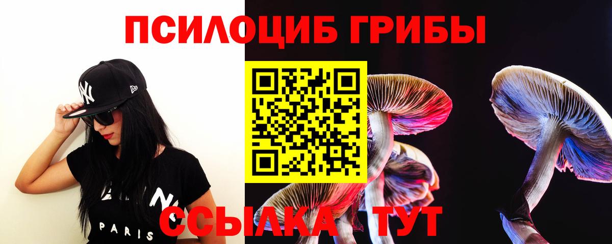 Галлюциногенные грибы Psilocybine cubensis  Вход с VPN  Нижнекамск  Псилоцибиновые грибы прущие грибы 